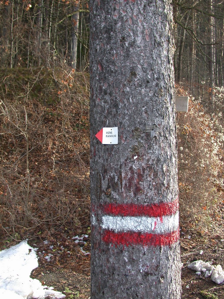 DSCN3885.JPG