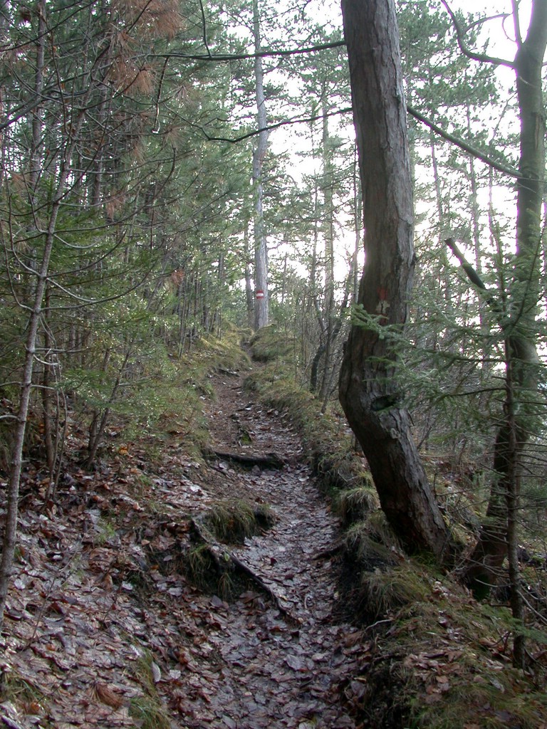 DSCN3888.JPG