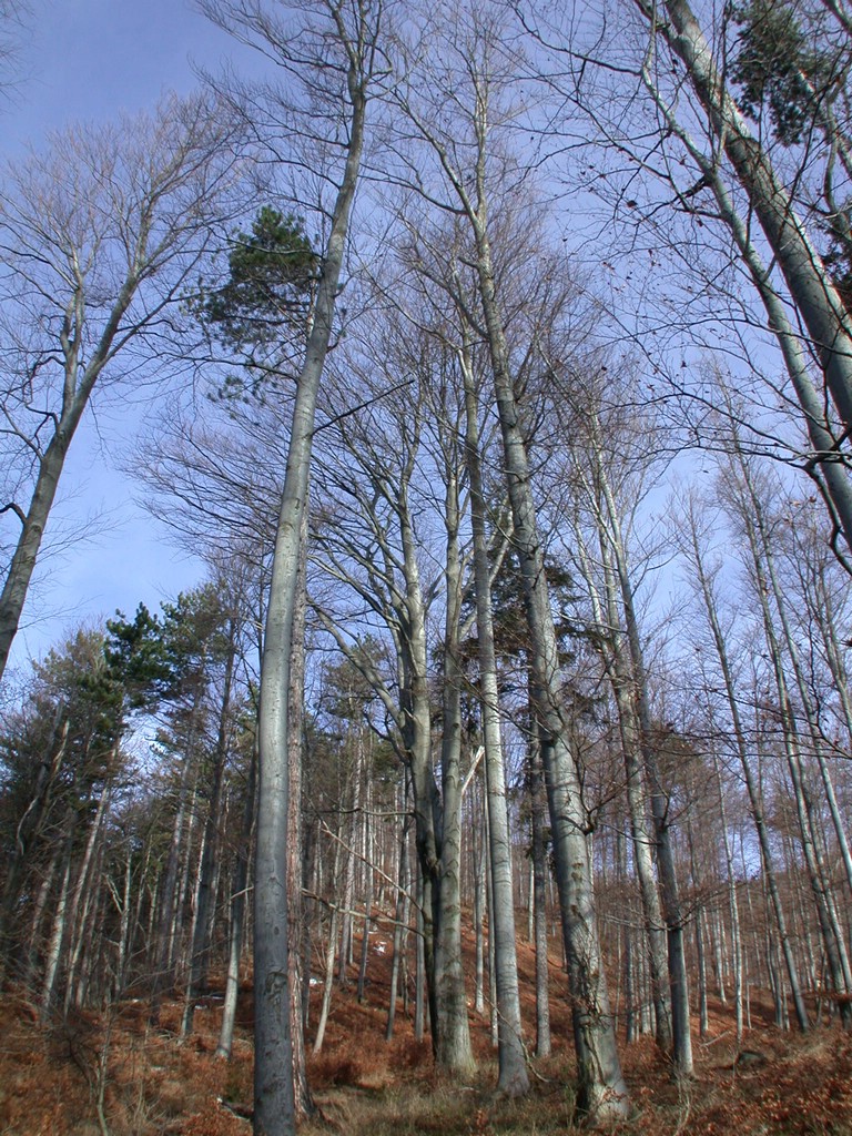 DSCN3891.JPG