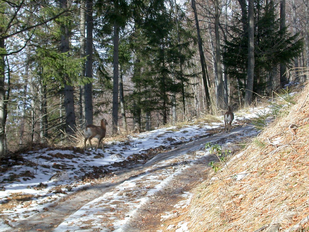 DSCN3893.JPG