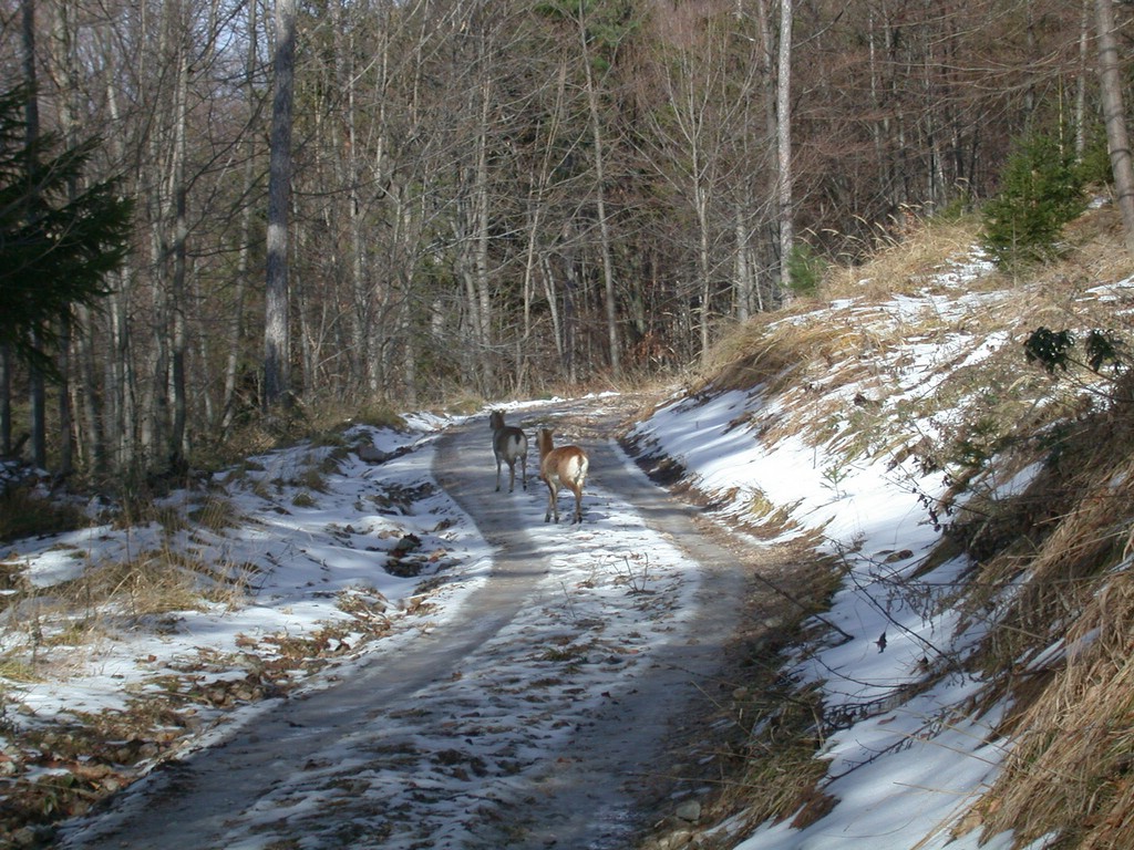 DSCN3894.JPG