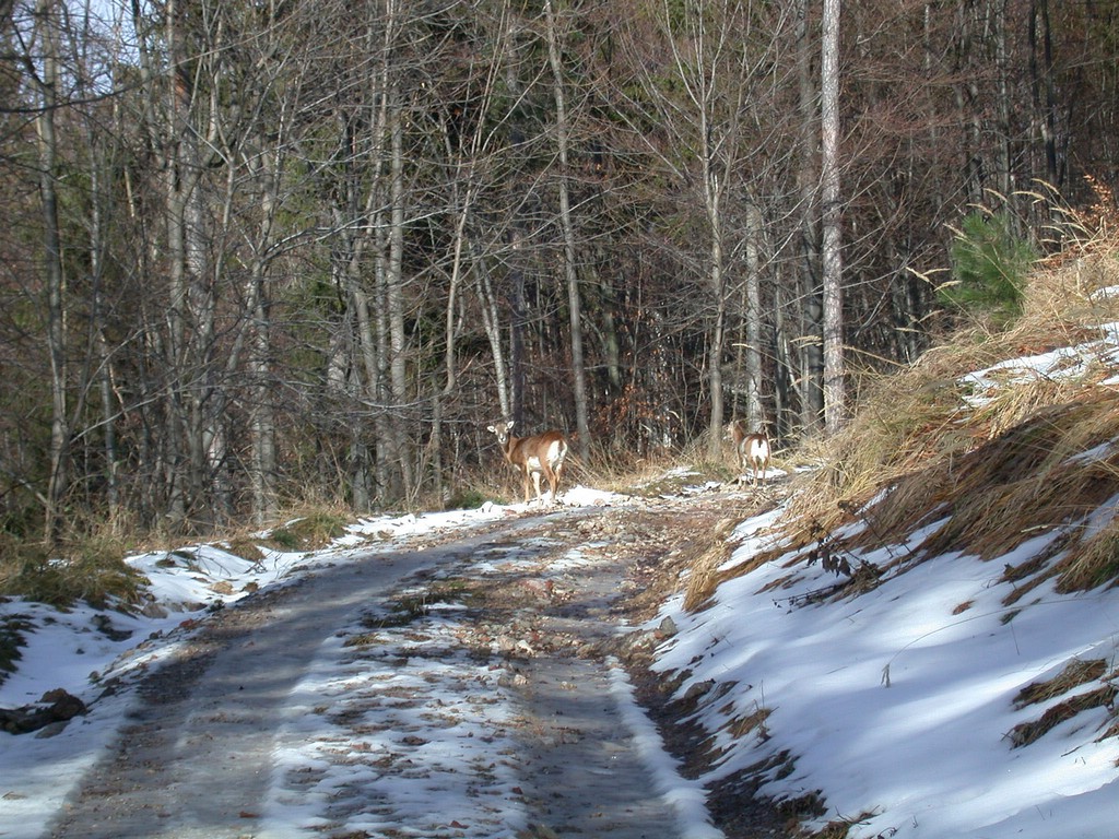 DSCN3897.JPG