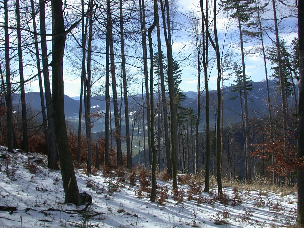DSCN3898.JPG