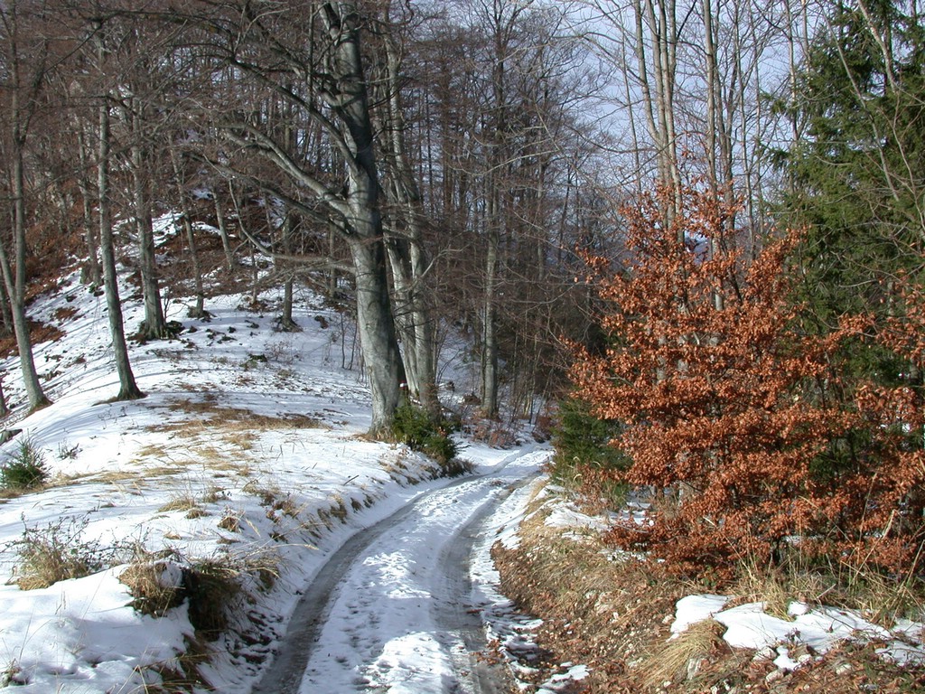 DSCN3900.JPG