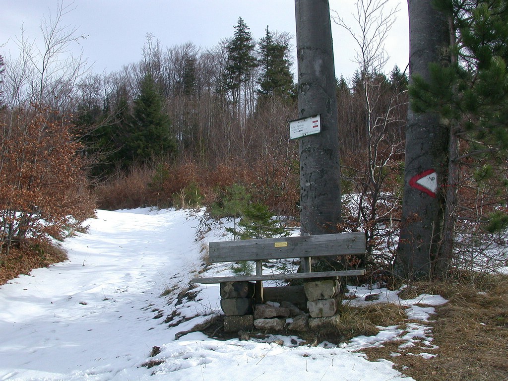 DSCN3902.JPG