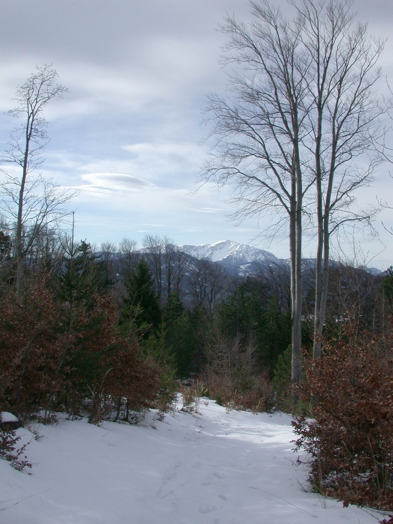 DSCN3903.JPG