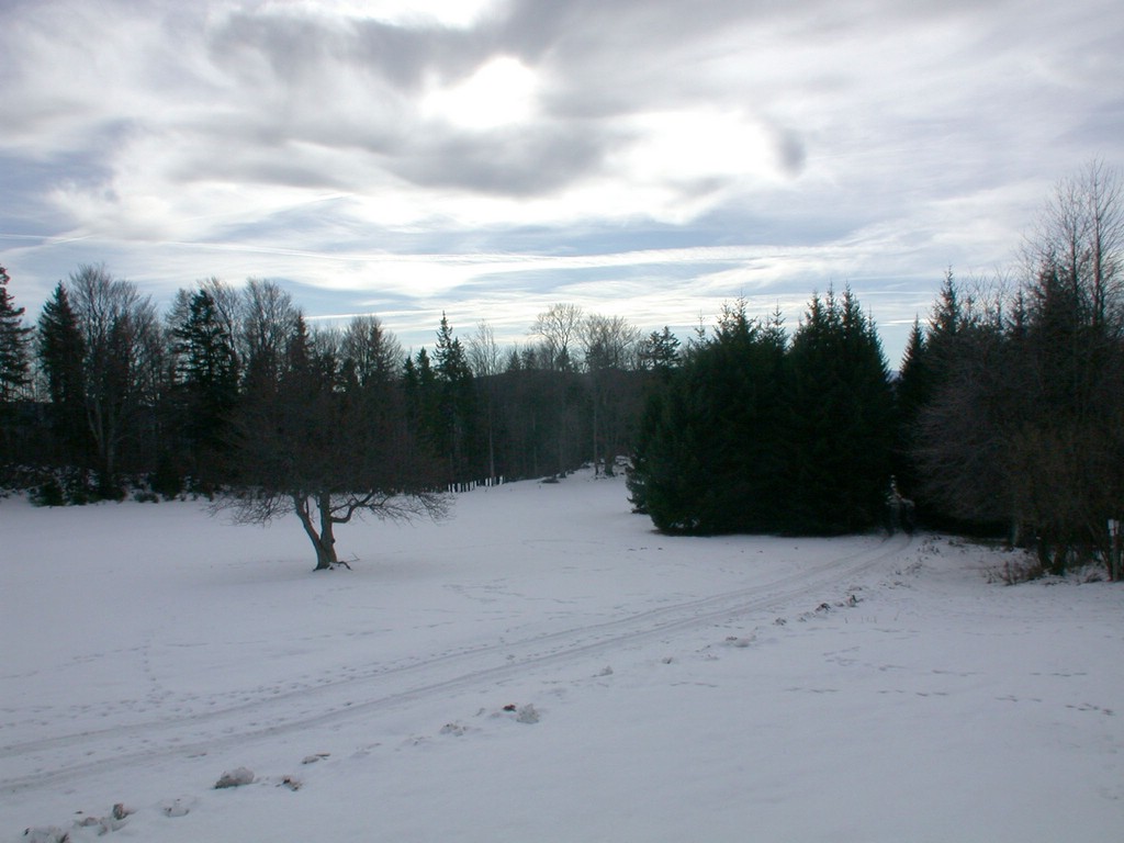 DSCN3911.JPG