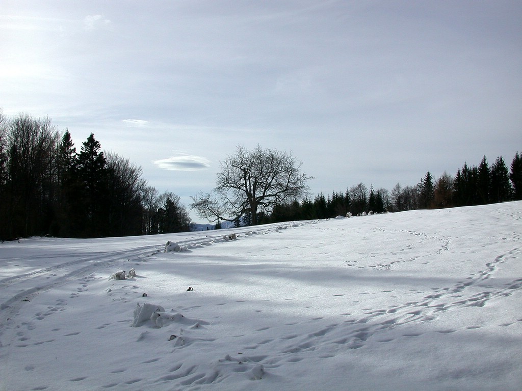 DSCN3917.JPG