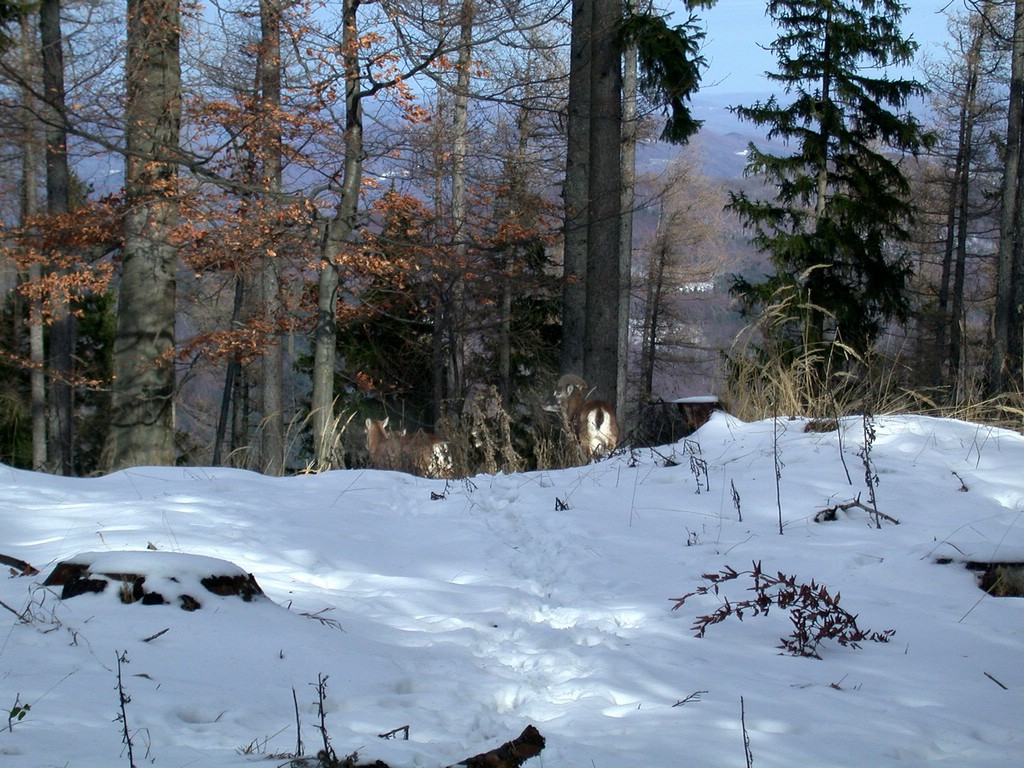 DSCN3918.JPG