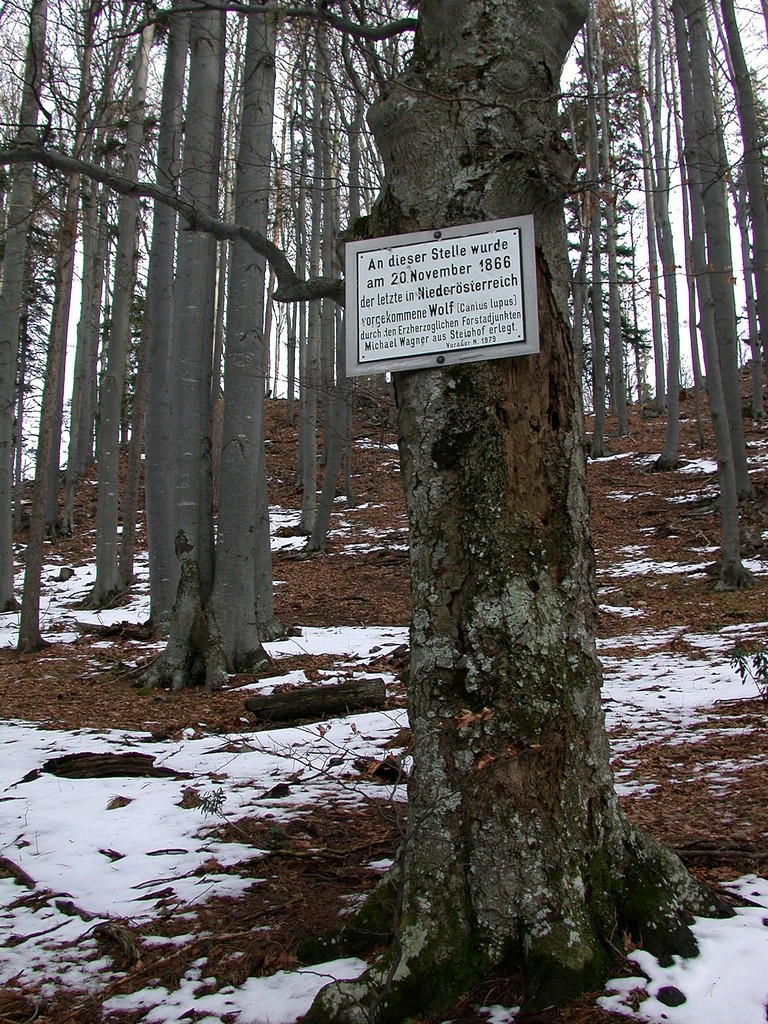 DSCN3922.JPG