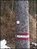 DSCN3885.JPG