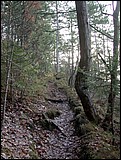 DSCN3888.JPG