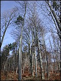 DSCN3891.JPG