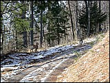 DSCN3893.JPG
