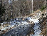 DSCN3894.JPG