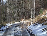 DSCN3897.JPG