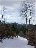 DSCN3903.JPG