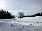 DSCN3917.JPG