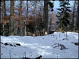 DSCN3918.JPG