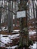 DSCN3922.JPG