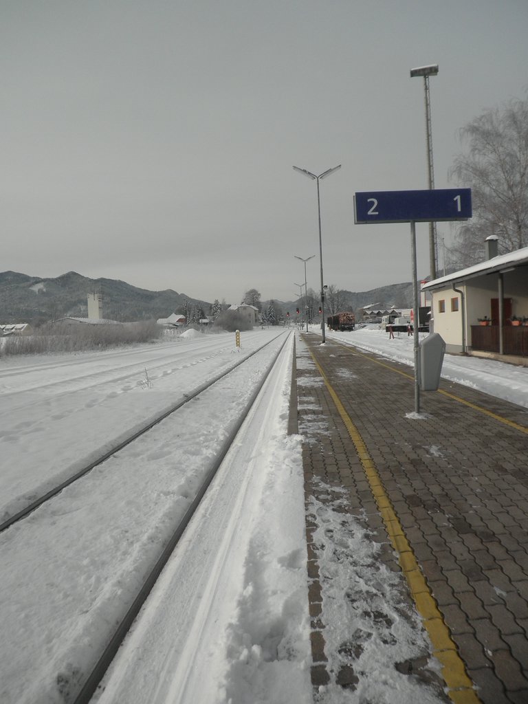 PC050007.JPG