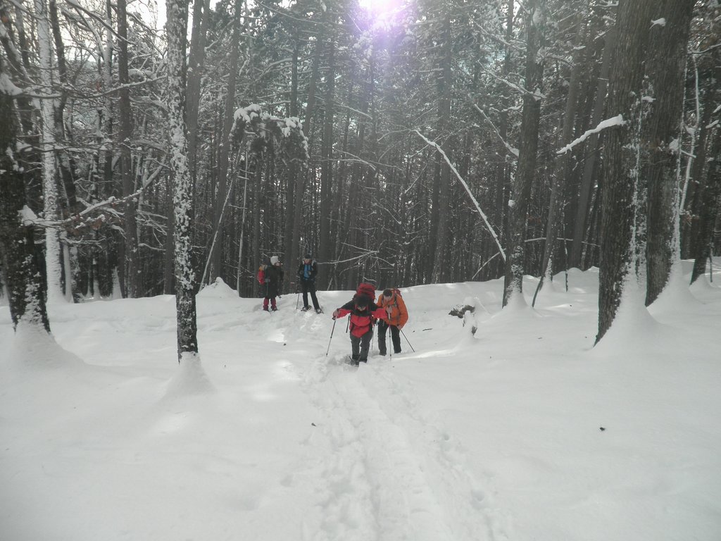 PC050017.JPG