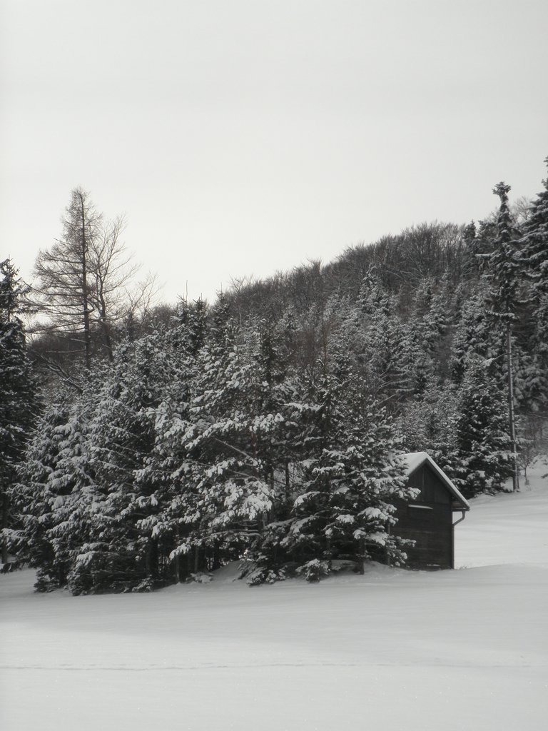 PC050023.JPG