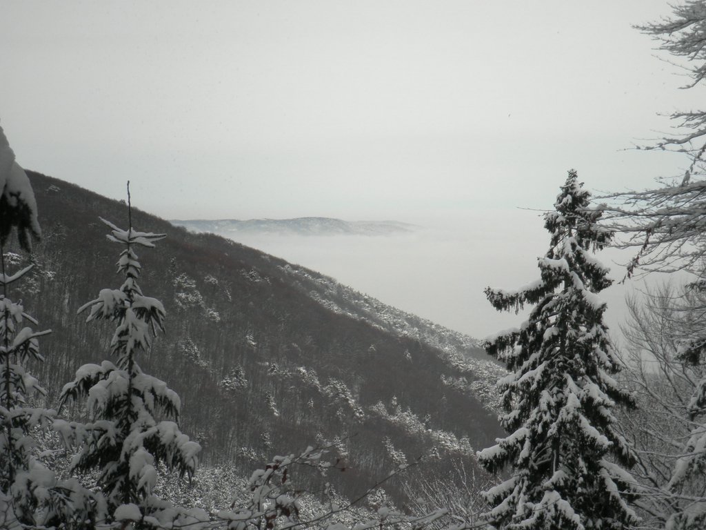PC050026.JPG