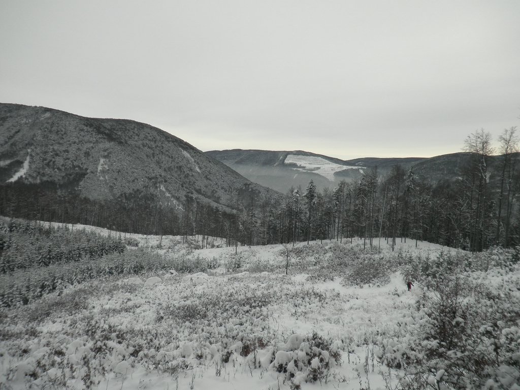 PC050031.JPG