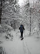 PC050021.JPG