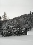 PC050023.JPG
