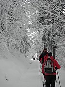 PC050025.JPG