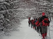 PC050027.JPG