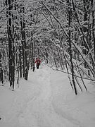 PC050039.JPG