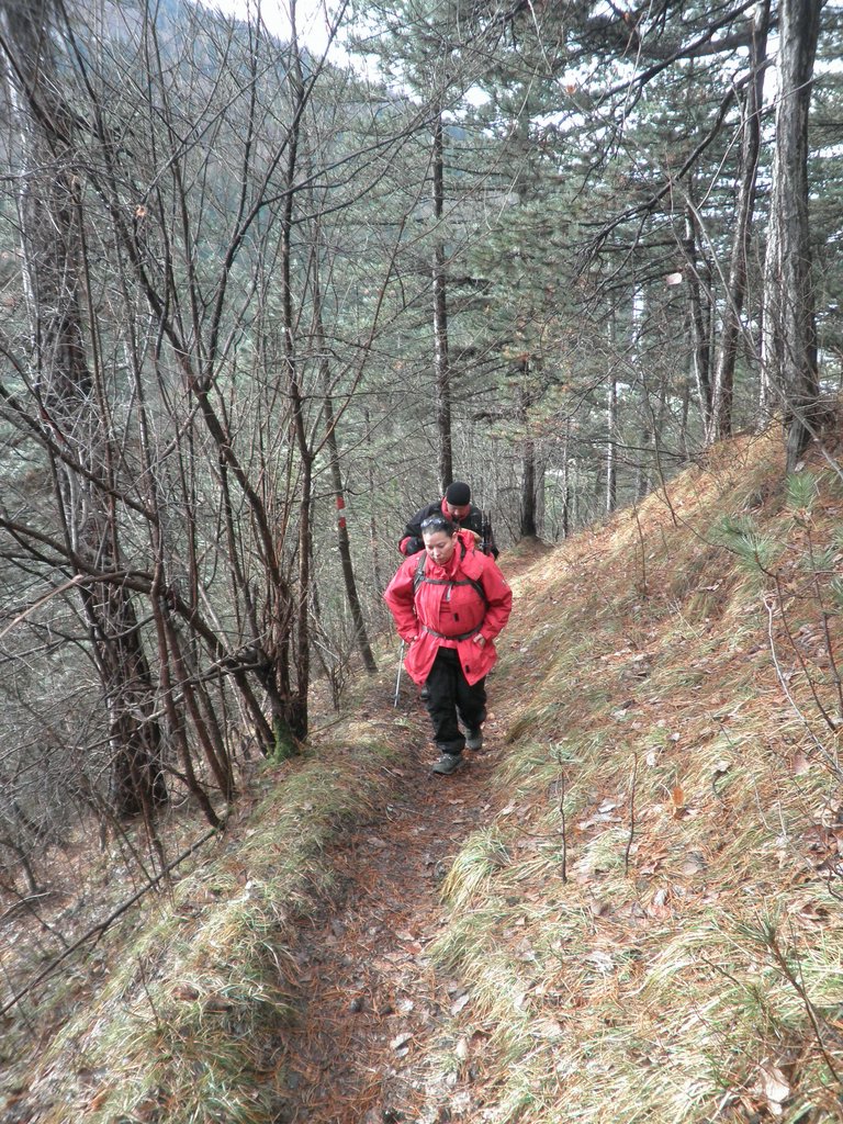 P2120024.JPG