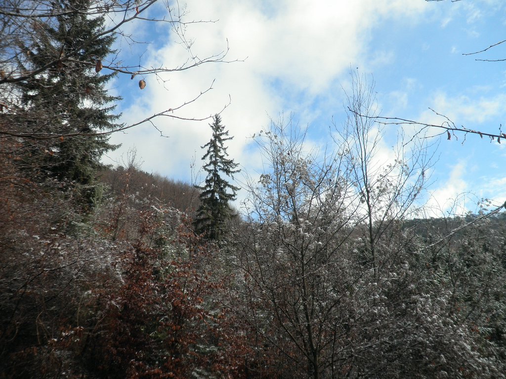 P2120025.JPG