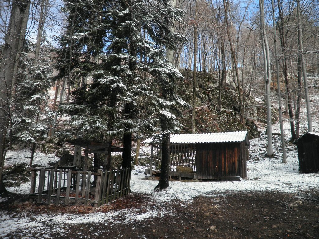 P2120030.JPG