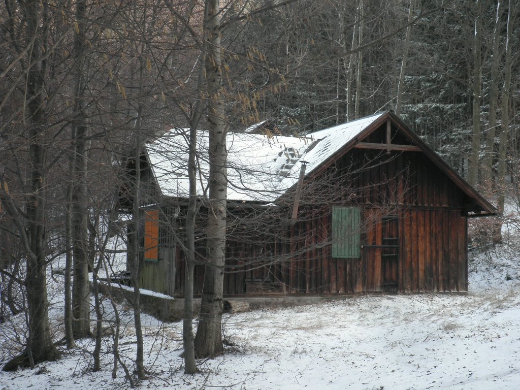 P2120033.JPG