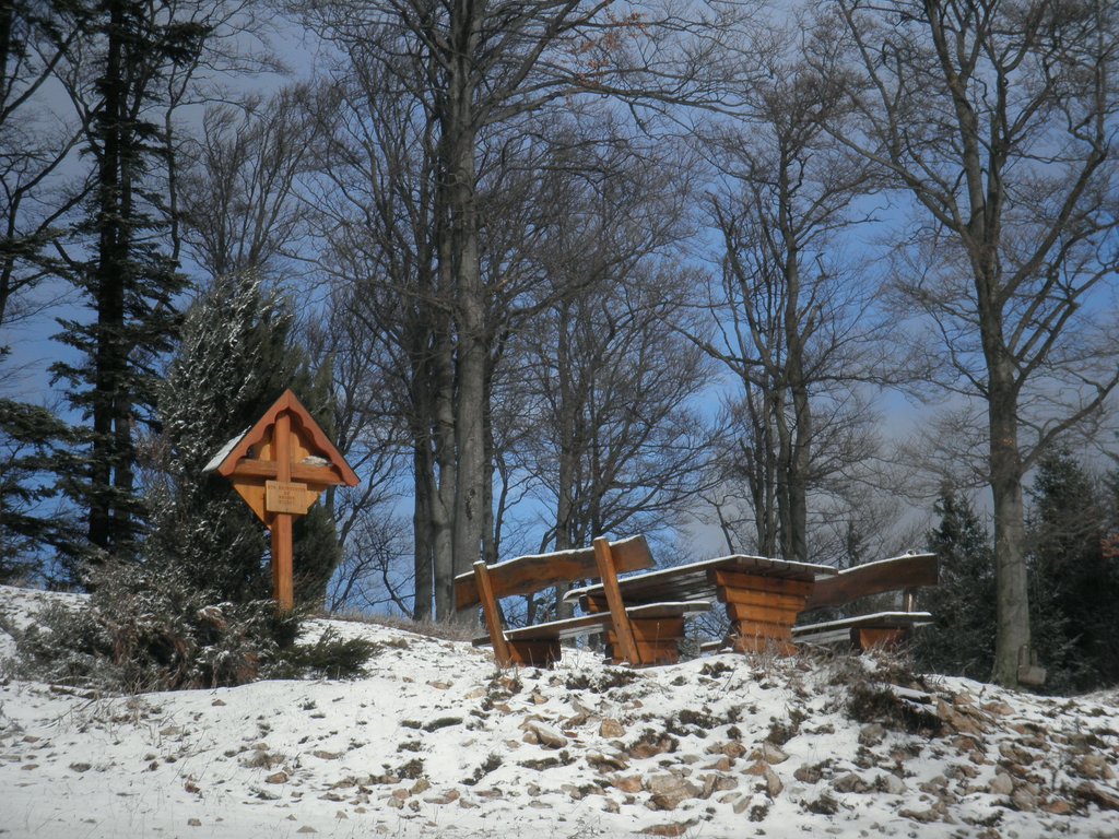 P2120037.JPG