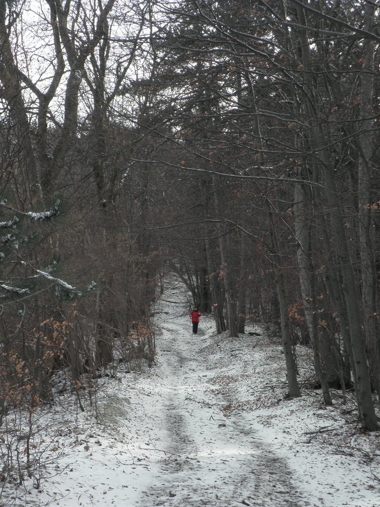 P2120042.JPG