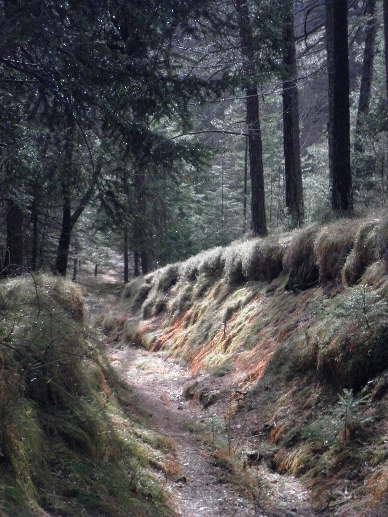 P2120045.JPG