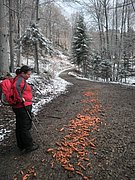 P2120031.JPG