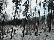 P2120036.JPG