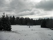 P2120040.JPG