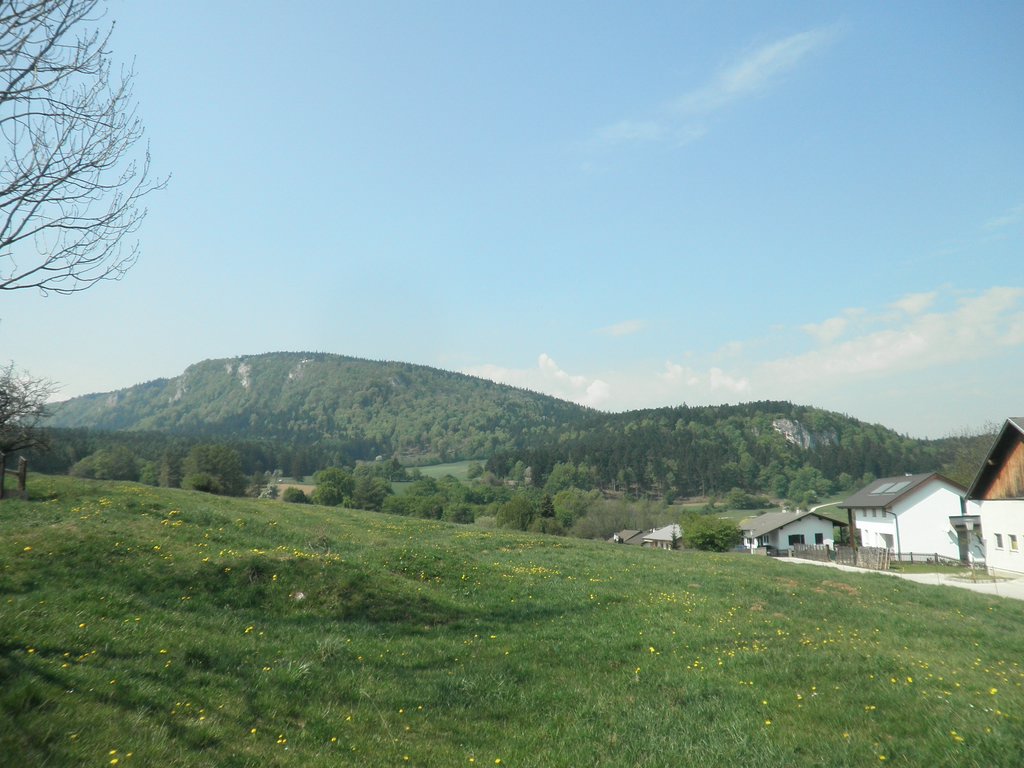 P4240001.JPG
