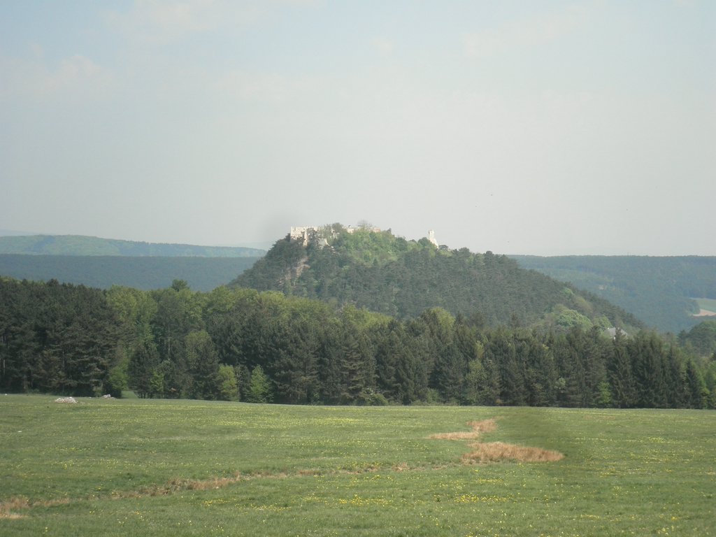 P4240004.JPG