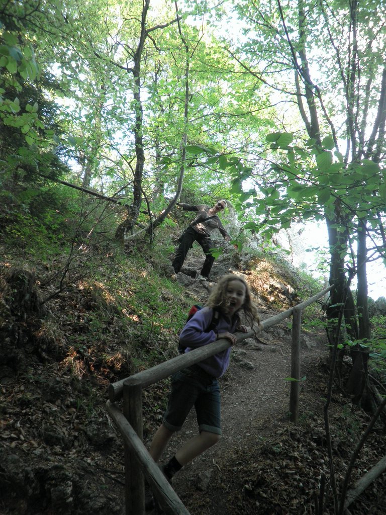 P4240022.JPG