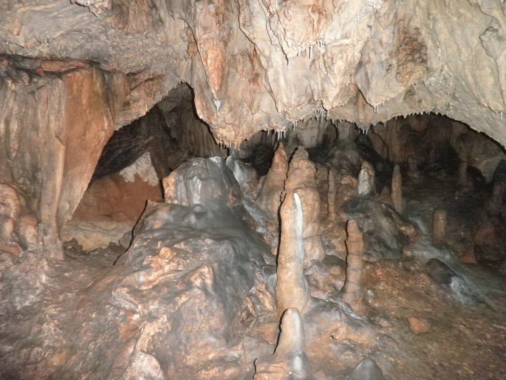 P4240024.JPG