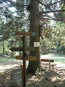 P4240009.JPG