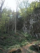 P4240012.JPG